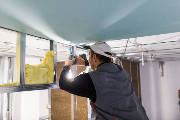 Insulation Repair Services in Jamestown, ND