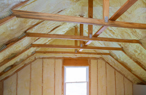 Best Wall Insulation Contractor  in Jamestown, ND