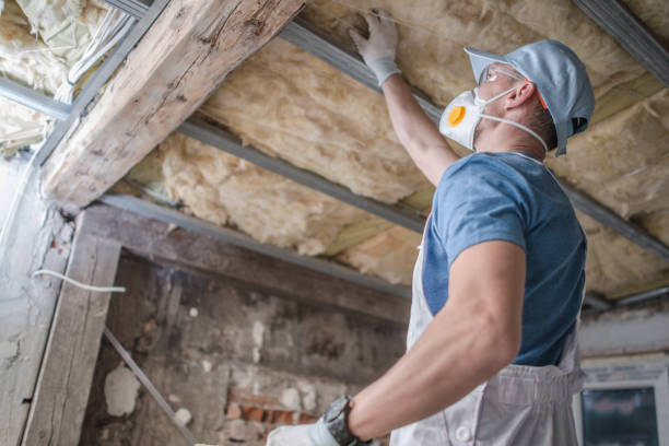 Best Insulation for New Construction  in Jamestown, ND
